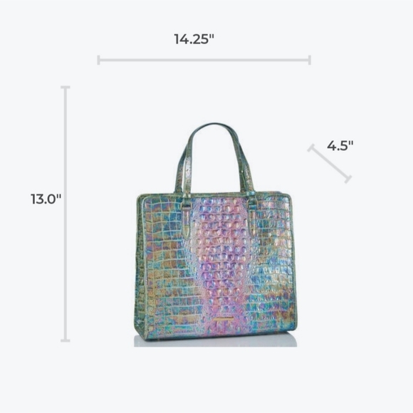 Brahmin Tia Visionary Delphine Tote - Picture 16 of 16